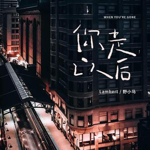 王乙刚下公交到王申家视频播放
