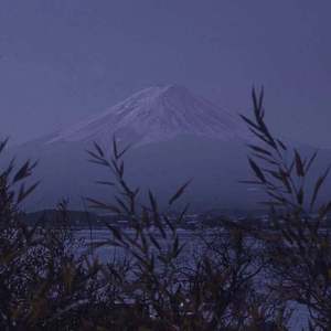 王乙刚下公交到王申家视频播放
